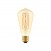 Ampoule Dorée LED Carbon Line Filament Cage Edison ST64 7W 640Lm E27 2700K Dimmable - C54