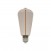 Ampoule LED Smoky Magnétique Deco Line Edison ST64 2,2W 60Lm E27 1800K - F03